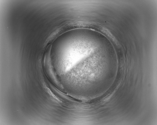 X0000068850585200605051215