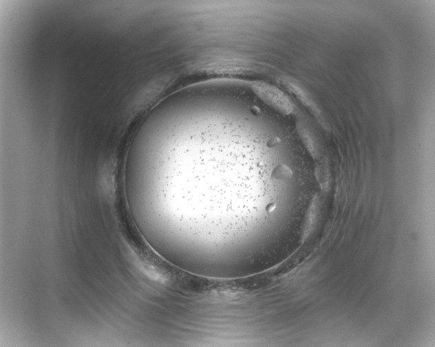 X0000068850586200605051215