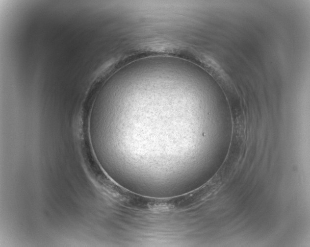 X0000068850587200605051215