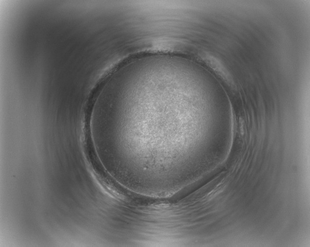 X0000068850588200605051215