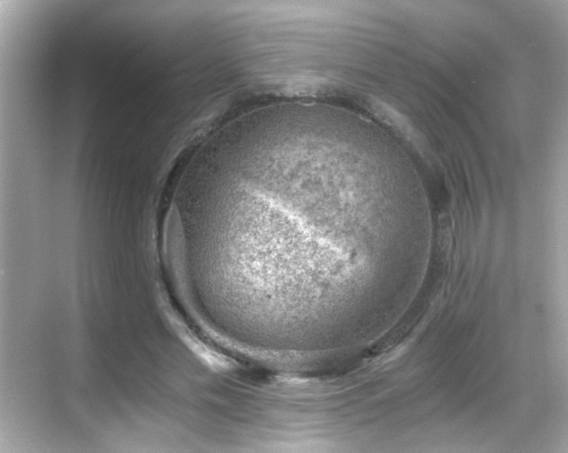 X0000068850589200605051215