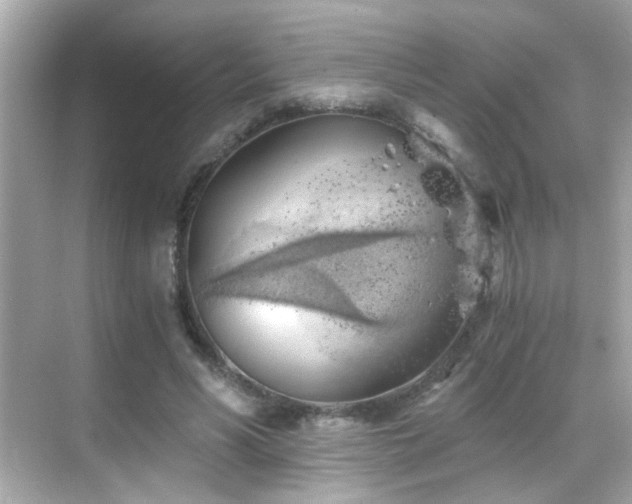 X0000068850590200605051215