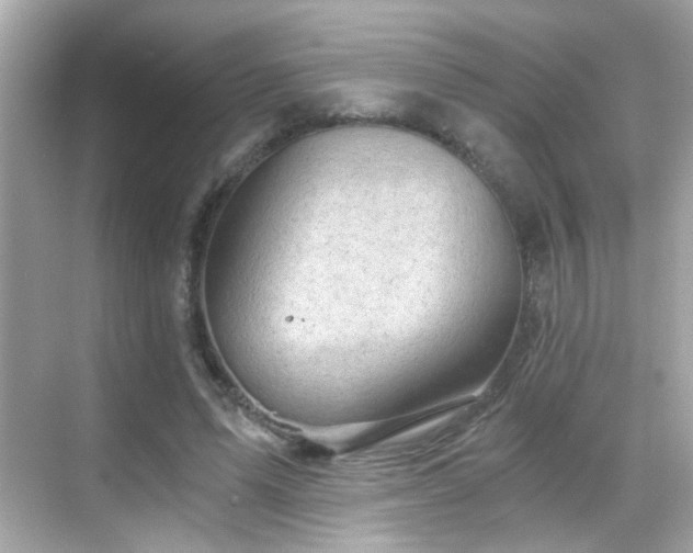 X0000068850591200605051215