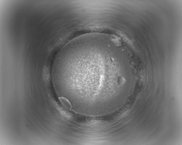 X0000068850593200605051215