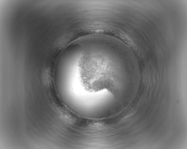 X0000068850594200605051215