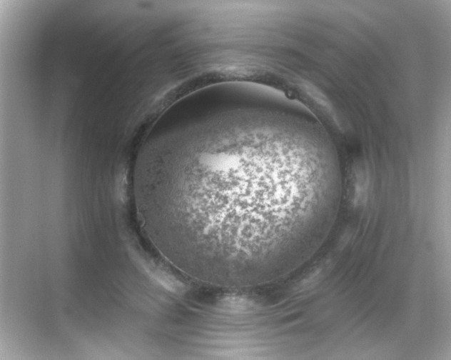 X0000068850596200605051215