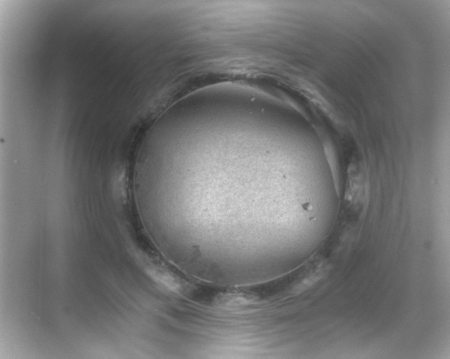 X0000068850597200605051215