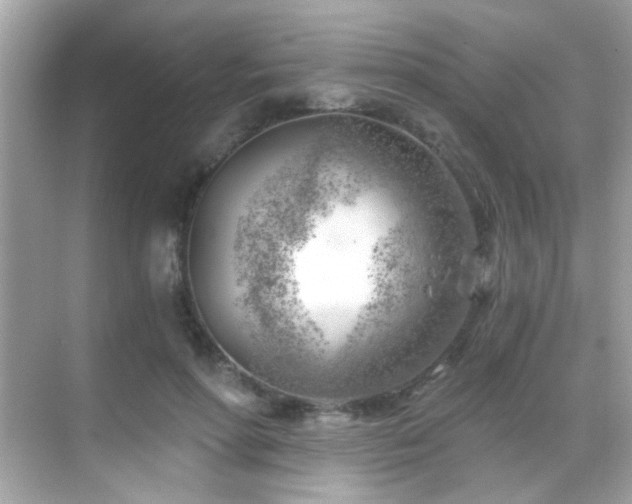 X0000068850598200605051215