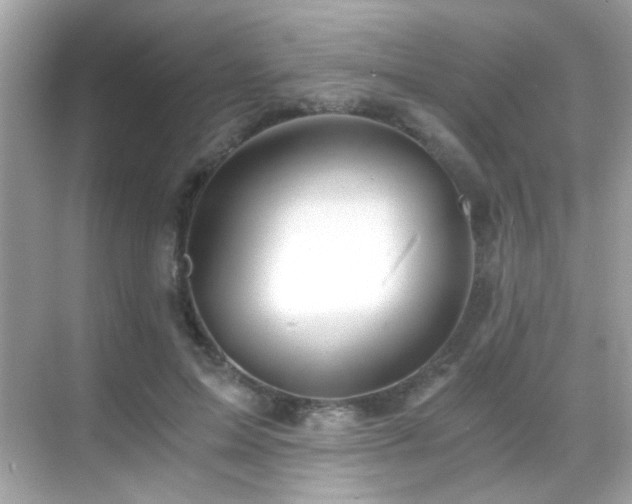 X0000068850599200605051215