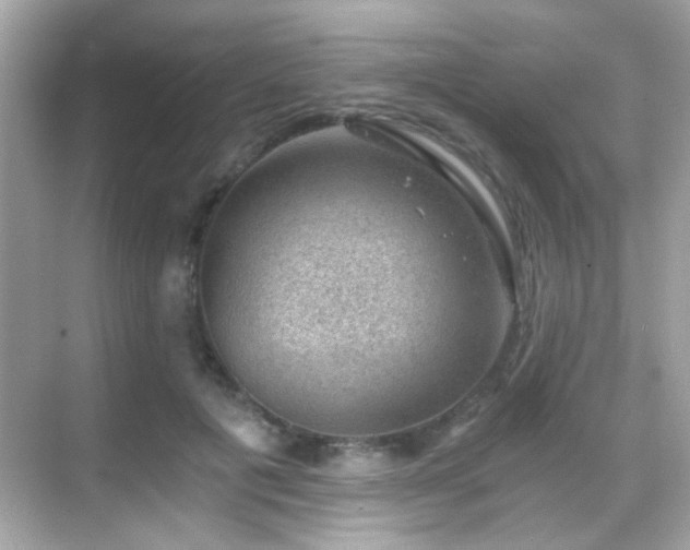 X0000068850601200605051214