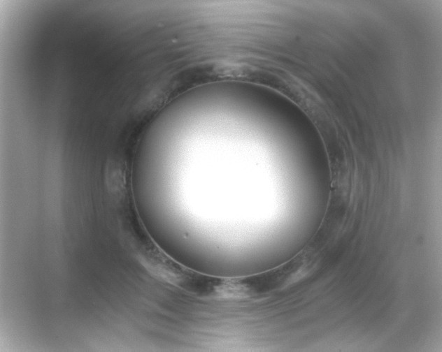 X0000068850603200605051214