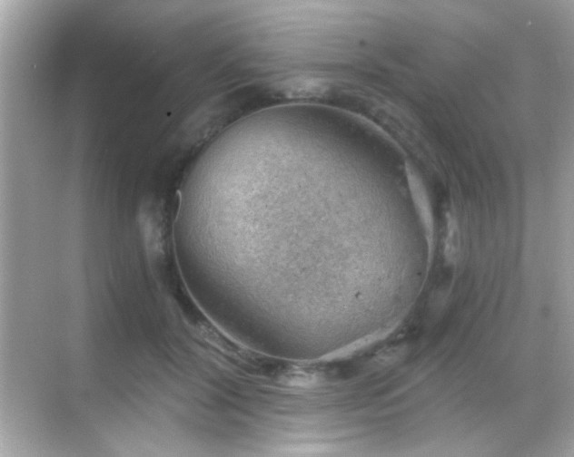 X0000068850604200605051214