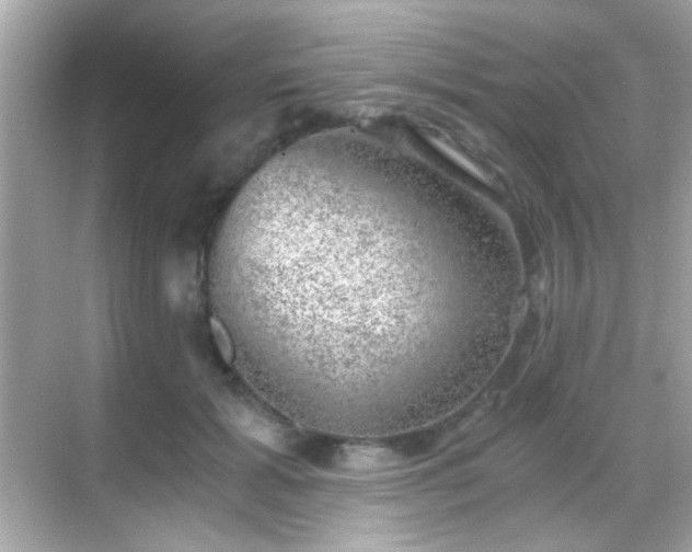 X0000068850605200605051214