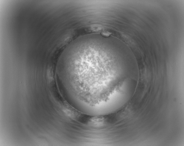 X0000068850606200605051214