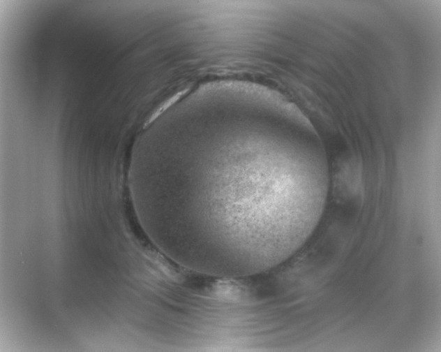 X0000068850608200605051214