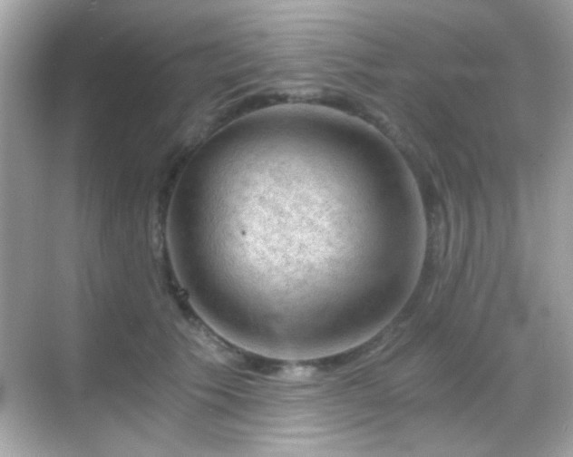 X0000068850609200605051214