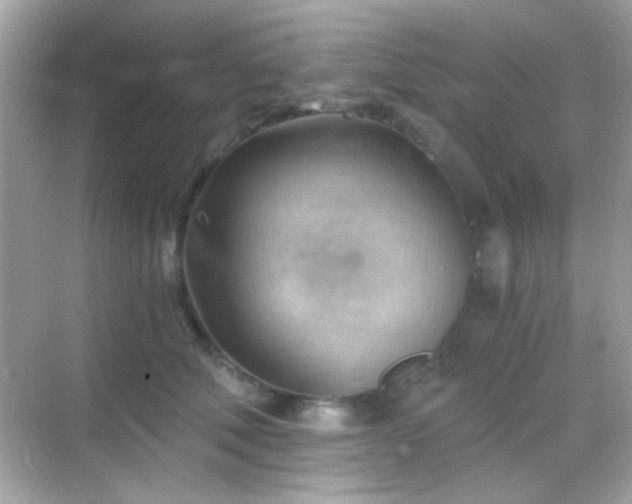 X0000068850610200605051214