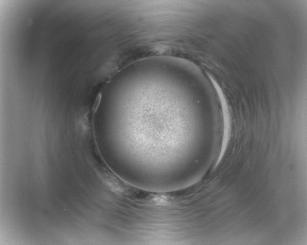 X0000068850611200605051214