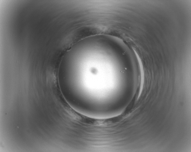 X0000068850613200605051214