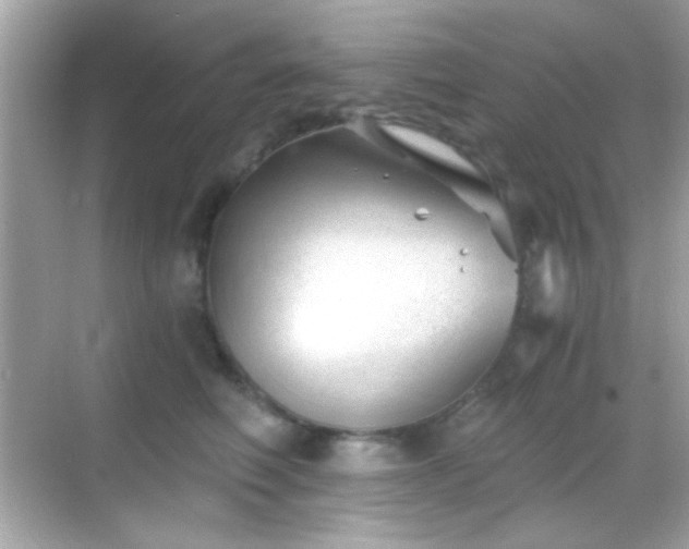 X0000068850614200605051214