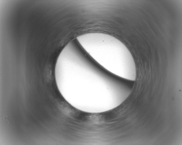 X0000068850615200605051214