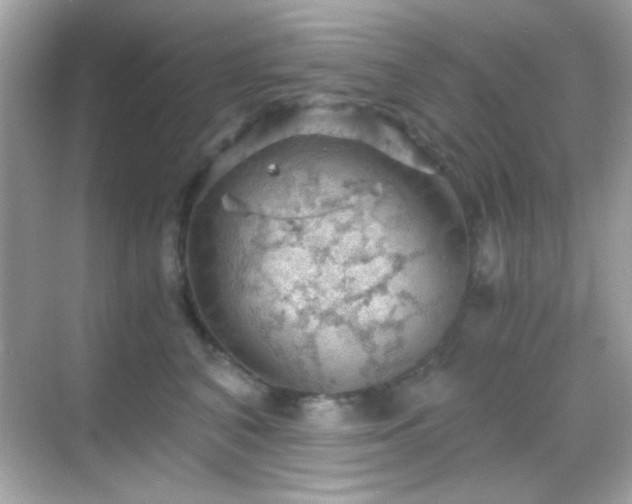 X0000068850616200605051214