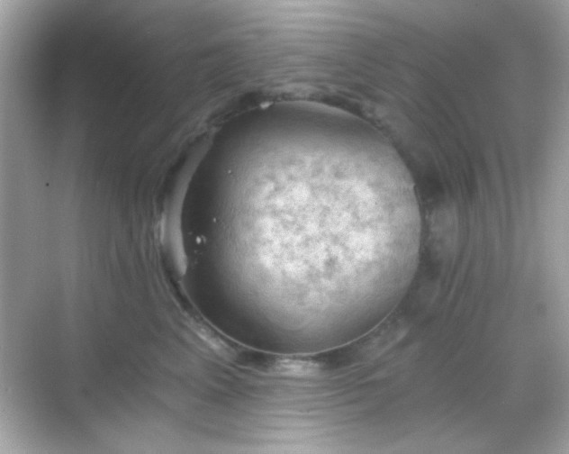 X0000068850617200605051214