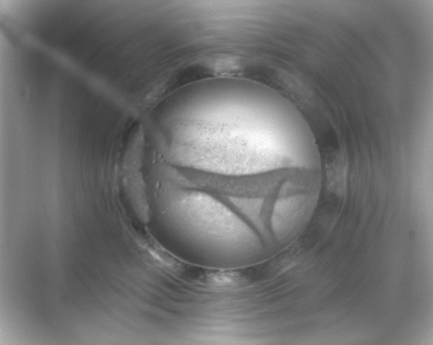 X0000068850618200605051214