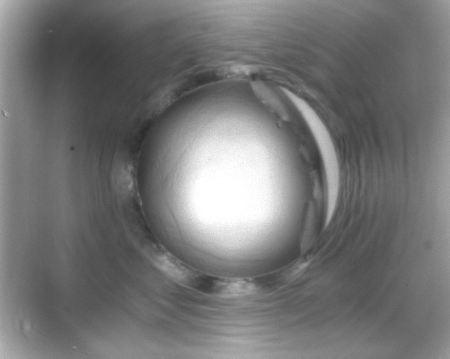 X0000068850621200605051214