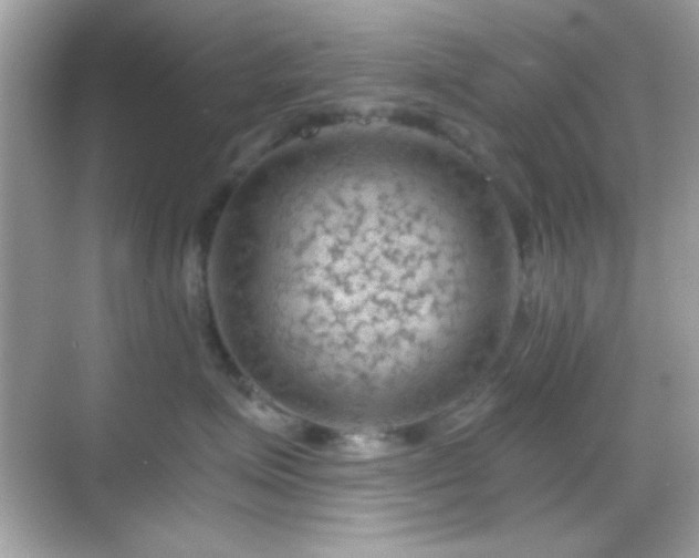 X0000068850623200605051214