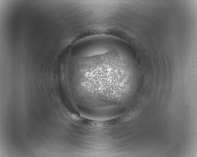 X0000068850624200605051214