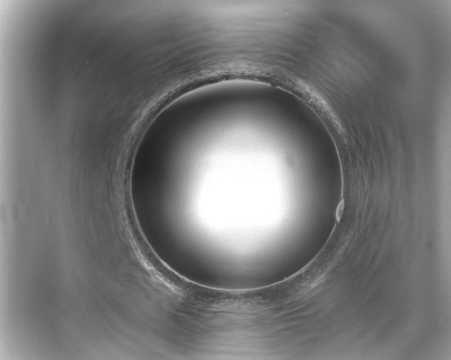 X0000068850625200605051213