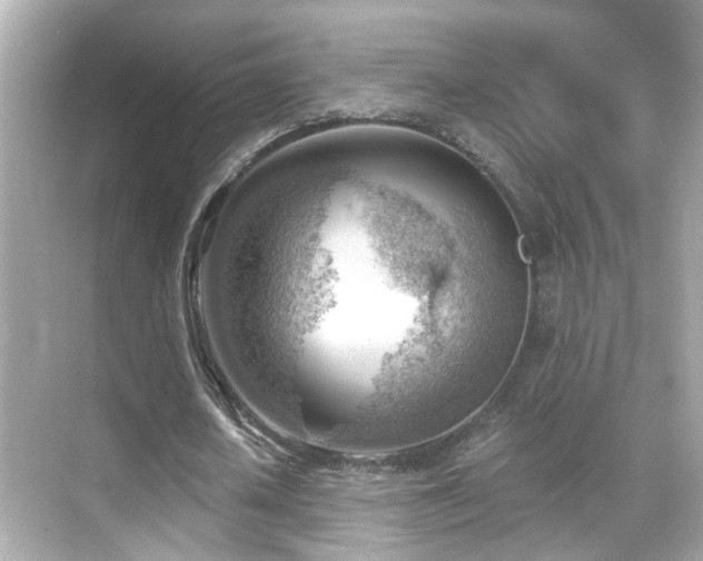 X0000068850626200605051213