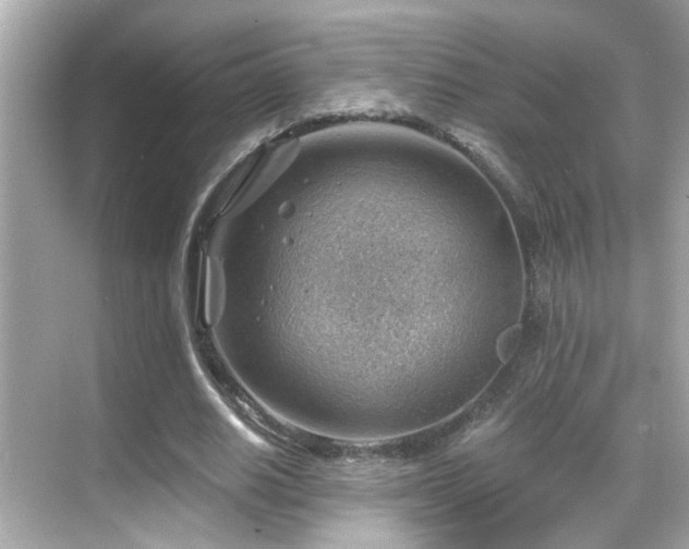 X0000068850630200605051213