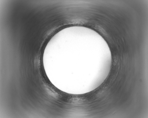 X0000068850632200605051213