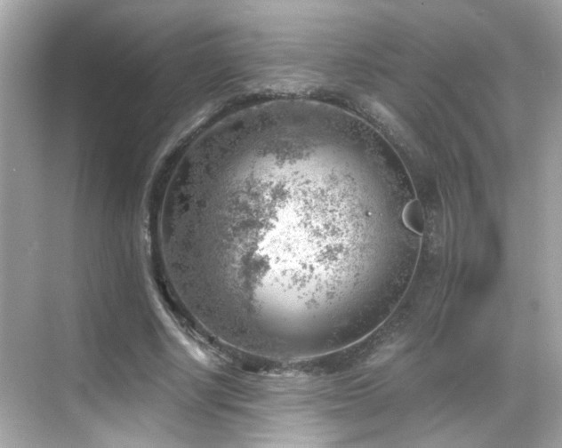 X0000068850634200605051213