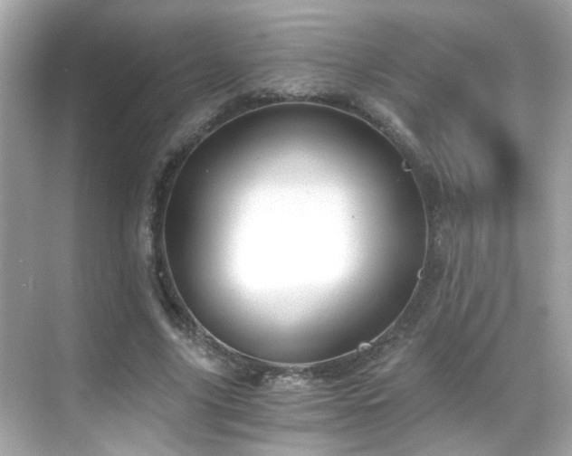 X0000068850635200605051213