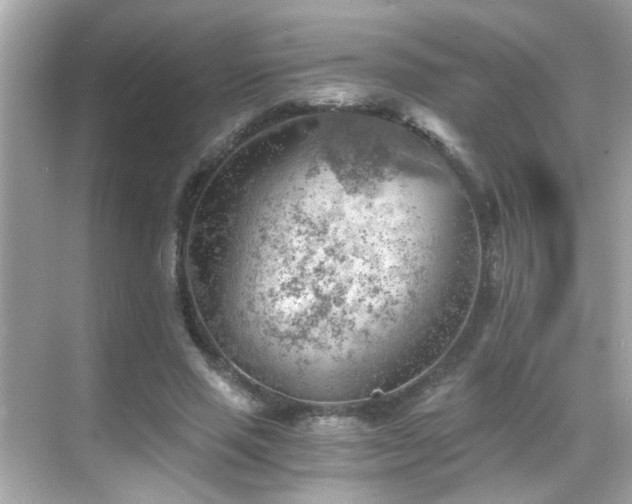 X0000068850637200605051213