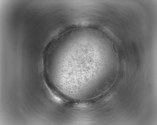 X0000068850638200605051214