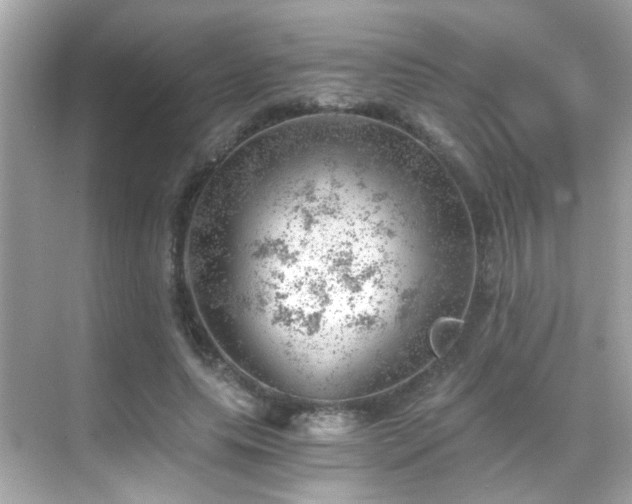 X0000068850639200605051214