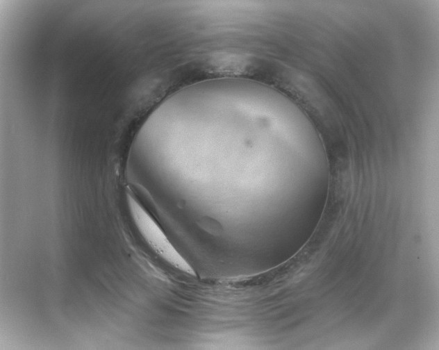 X0000068850641200605051214