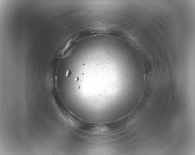 X0000068850642200605051214