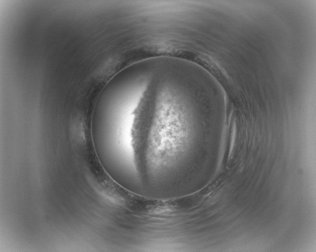 X0000068850643200605051214