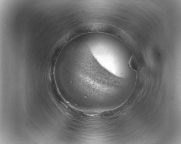 X0000068850644200605051214