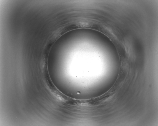 X0000068850645200605051214