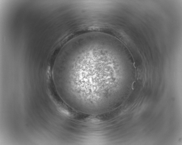 X0000068850648200605051214