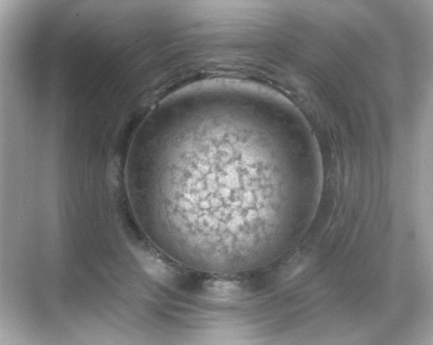 X0000068850649200605051214