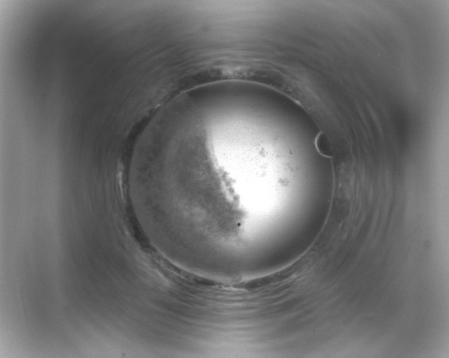 X0000068850650200605051214