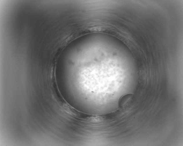 X0000068850652200605051214