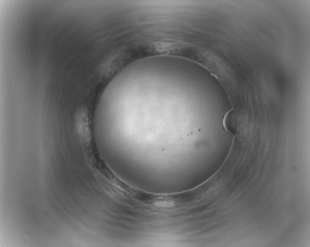 X0000068850653200605051214